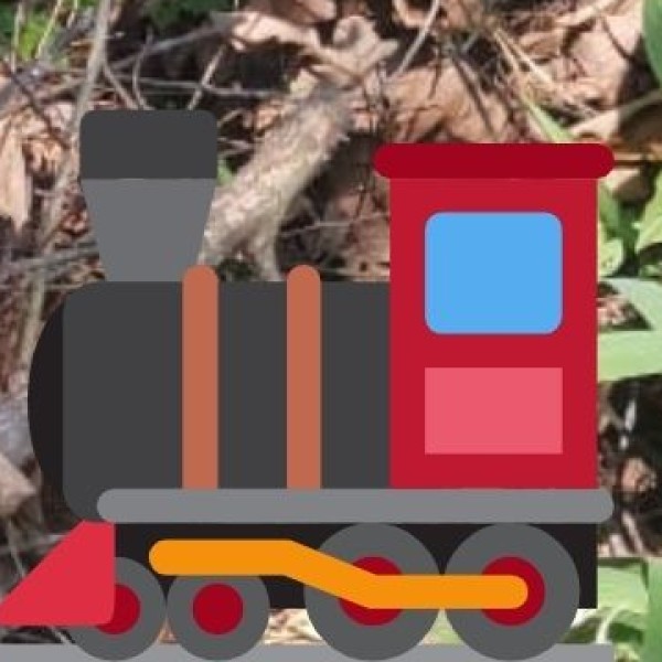 By Train