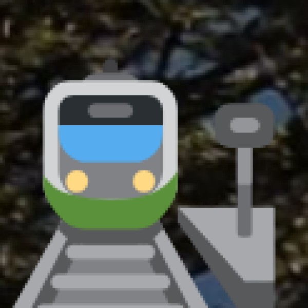 By Rail