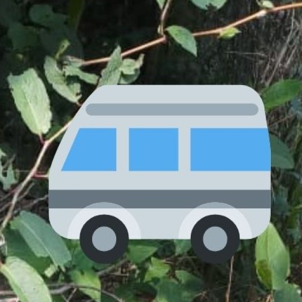 Bus Services: