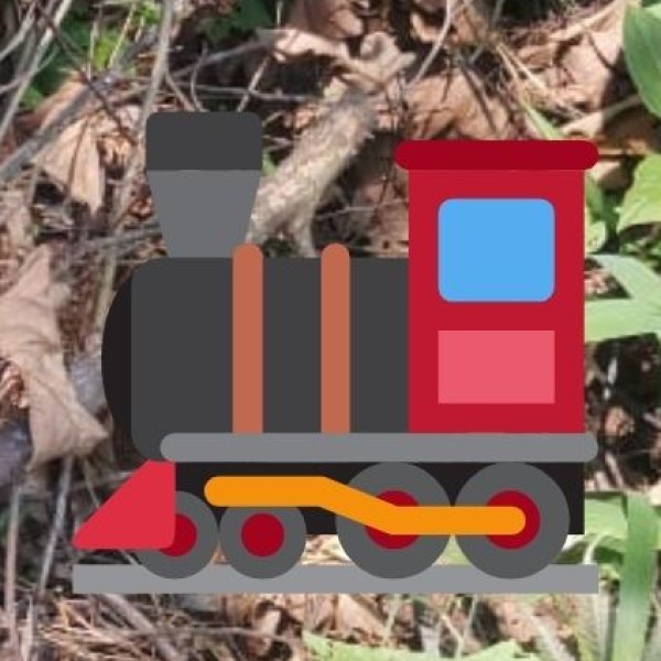 By Train – Fastest Way to Travel Between Cities