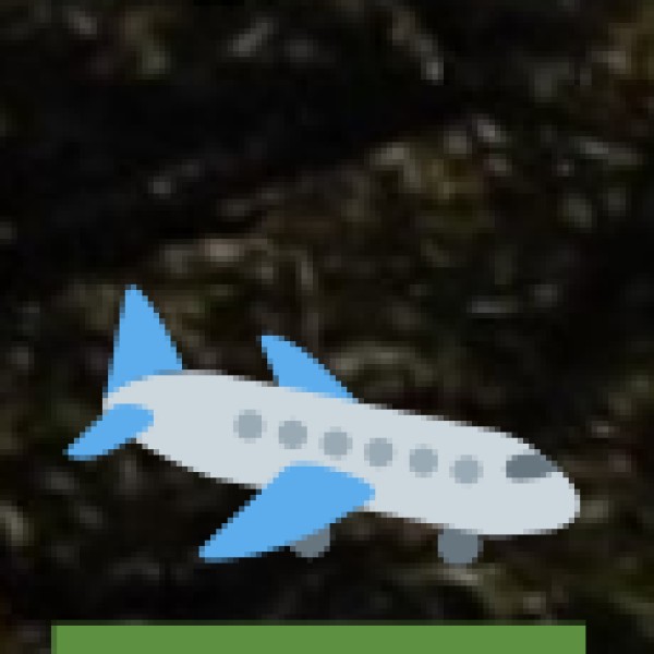 By Air (Fastest & Most Convenient)