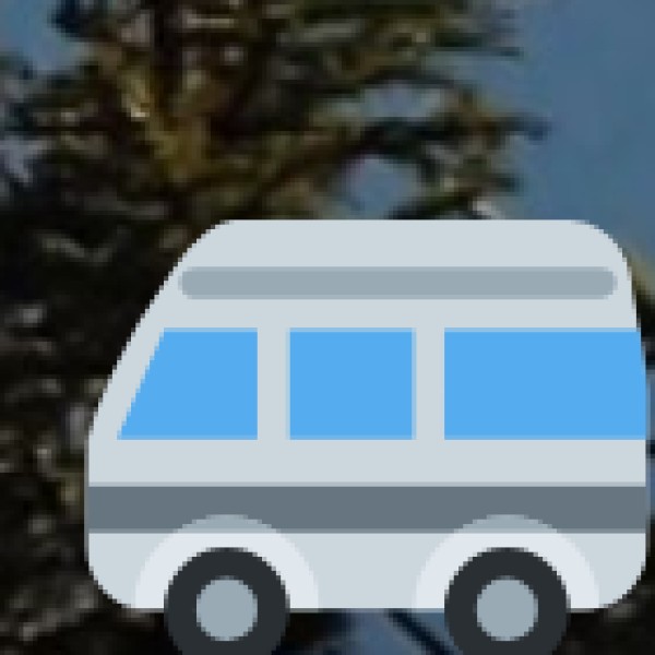 Bus Services: