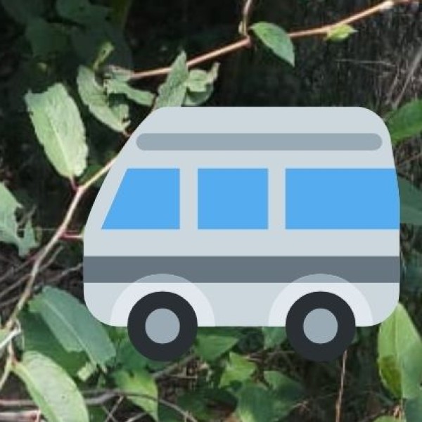 Transportation & Accessibility in Rajasthan