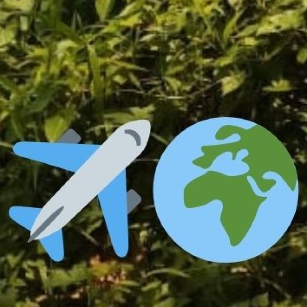 By Air – Major Airports in Madhya Pradesh