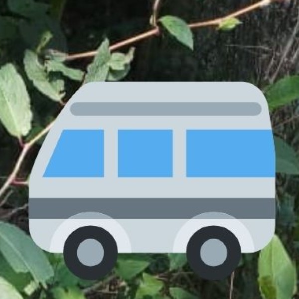 Bus Services: