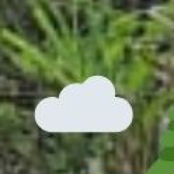 Monsoon (July – September) – Moderate Rainfall
