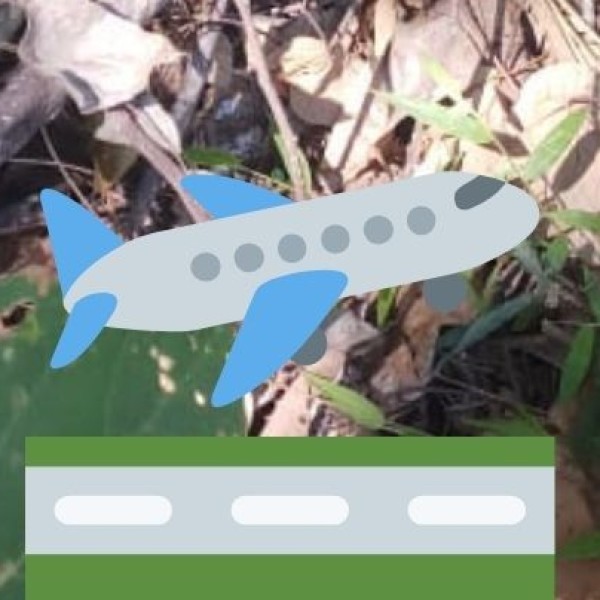 By Air – Quickest Way to Reach Remote Areas