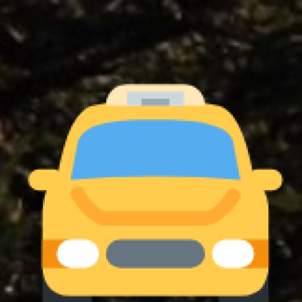 Local Transport Within Punjab
