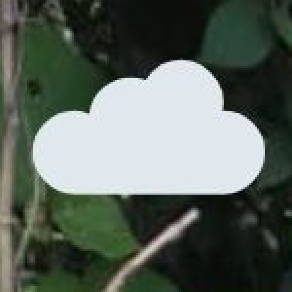 Monsoon (July – September)