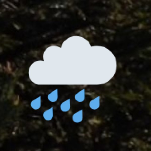 Monsoon (July–September) – Lush but Rainy