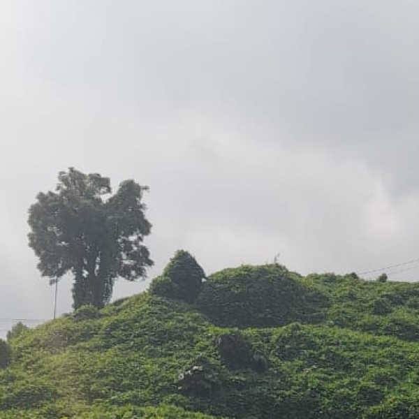 Kerala’s Grand Festivals