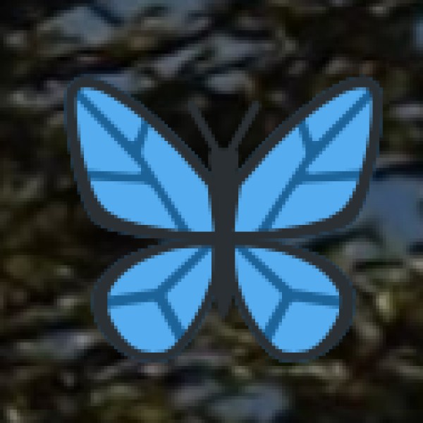 Ima Keithel (Mother’s Market) – Cultural Spirituality