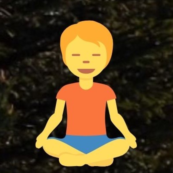 • Meditation Centers: