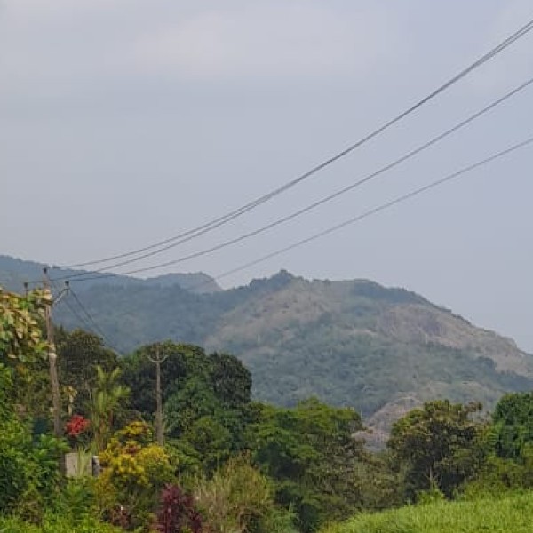 Major Festivals in Goa