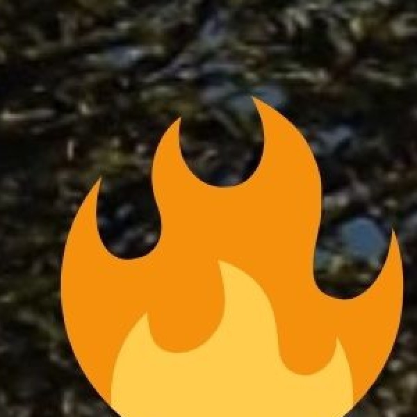 • Morungs: