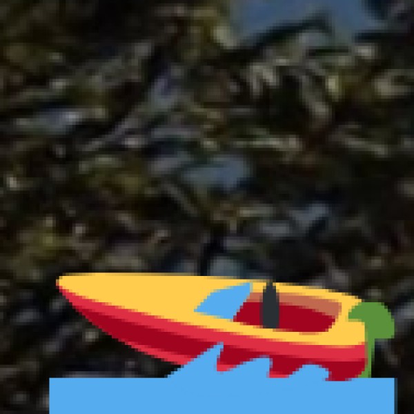Aranmula Boat Race