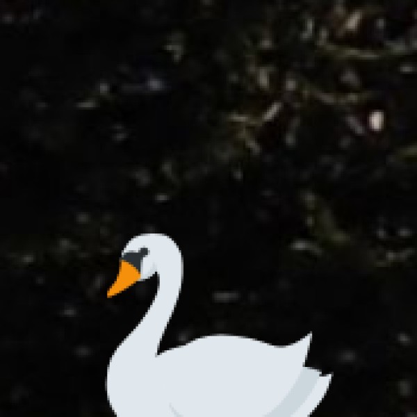 Tso Moriri Outlet Waterfall