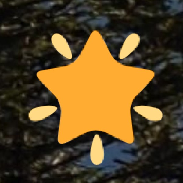 Conservation Measures