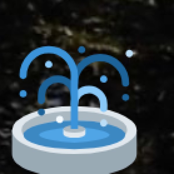 Mangrove Forest & Athirappilly Falls