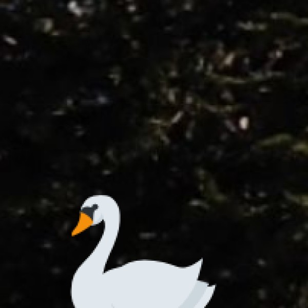 Other Notable Waterfalls