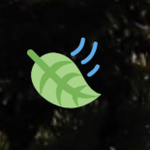 Magod Falls (Uttara Kannada)