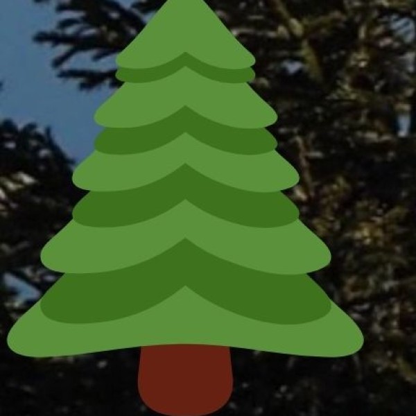 • Totsu Cliff Waterfall (Wokha District):