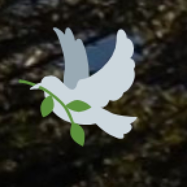 Best Time to Visit Rivers, Waterfalls & Scenic Spots in Madhya Pradesh