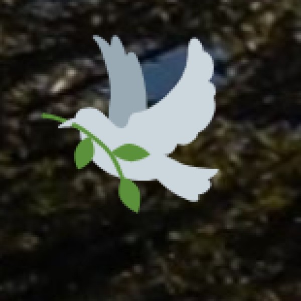 Ethipothala Waterfalls (Guntur District)