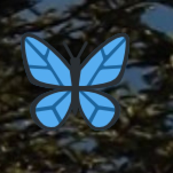 Waterfalls in Nagaland