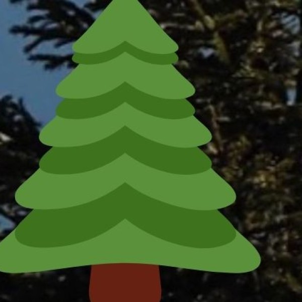 Rajpuri Waterfall – The Best Offbeat Retreat