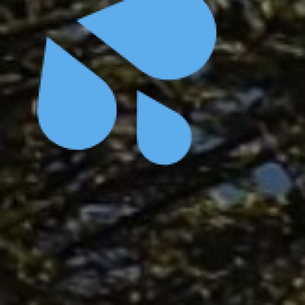 Sahastradhara (Thousand Fold Spring)