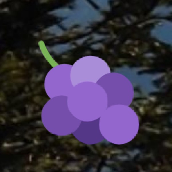 Tourist-Friendly River & Waterfall Locations