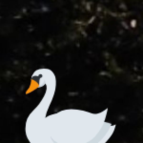 Rivers in Pondicherry: