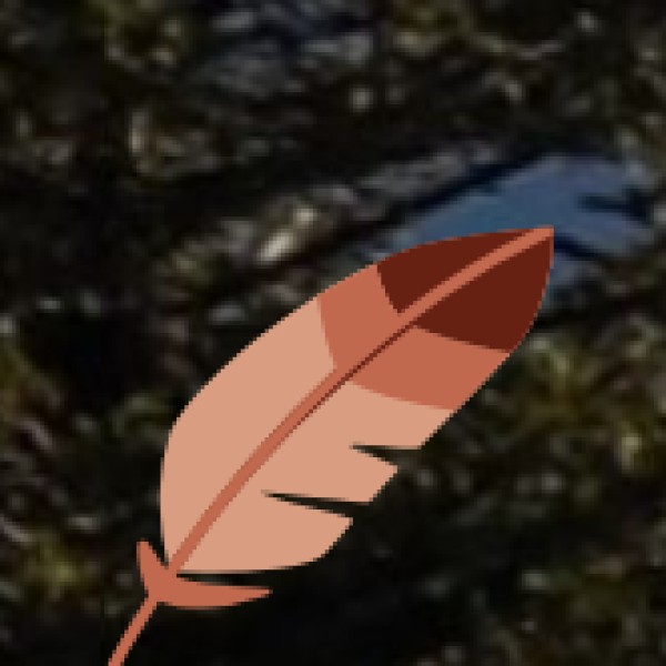 Major Waterfalls in Sikkim