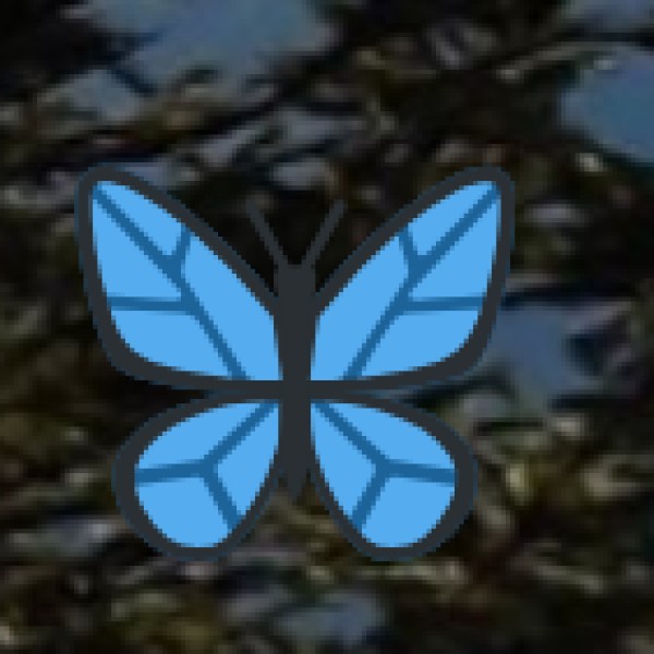 Hathni Mata Waterfall