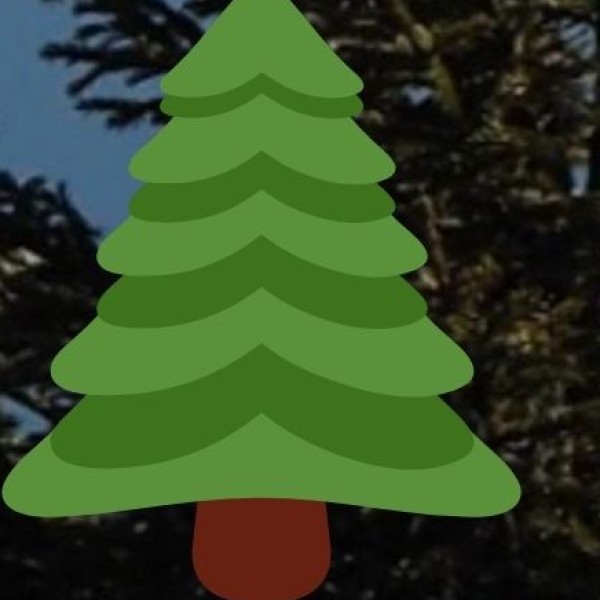 Environmental Concerns: