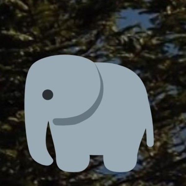 Elephant Falls – The Most Accessible Waterfall