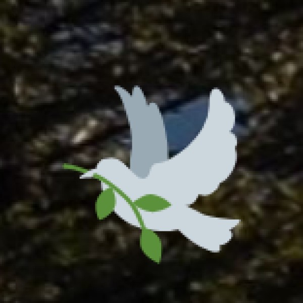 Environmental Importance & Challenges