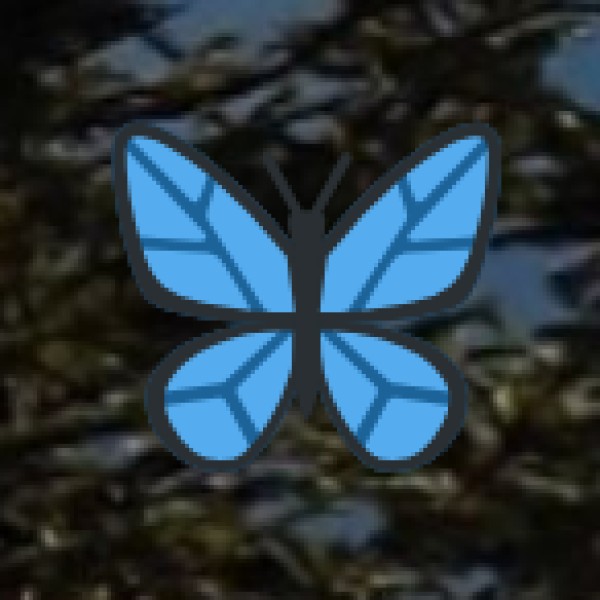 Krang Suri Falls – The Most Beautiful Blue Waterfall