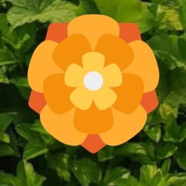 Biodiversity and Ecology