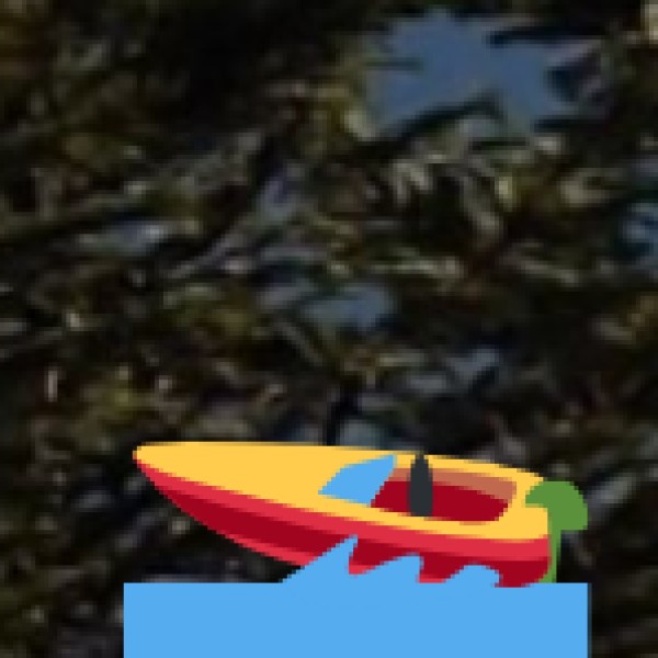 • Dudhsagar Falls: