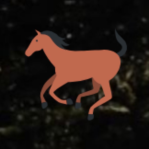 Dibru-Saikhowa River Safari – Birdwatching & Feral Horses