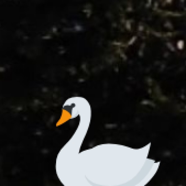 Rivers & Waterfalls in Jammu & Kashmir