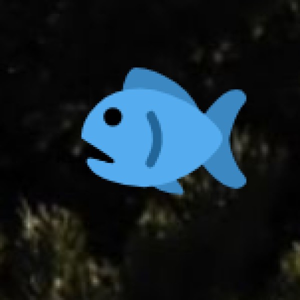 Kaziranga River Safari – Spot Rare River Dolphins