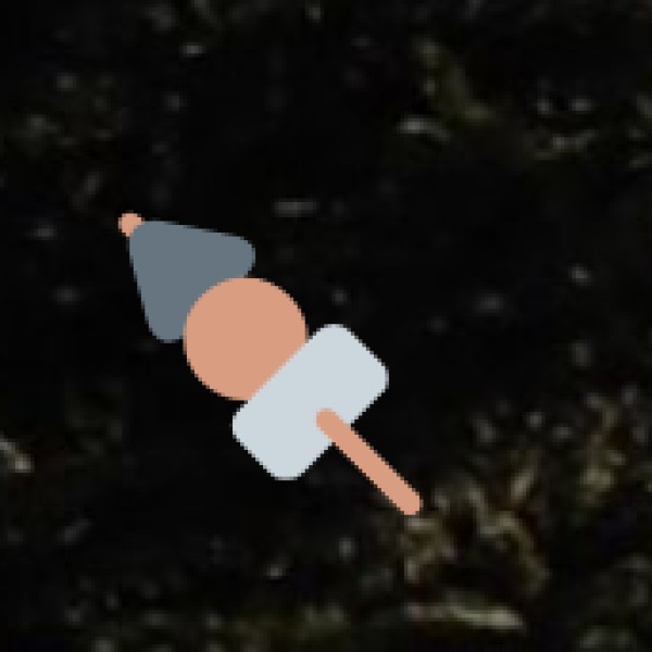 • Dzükou Valley Waterfall (near Kohima):