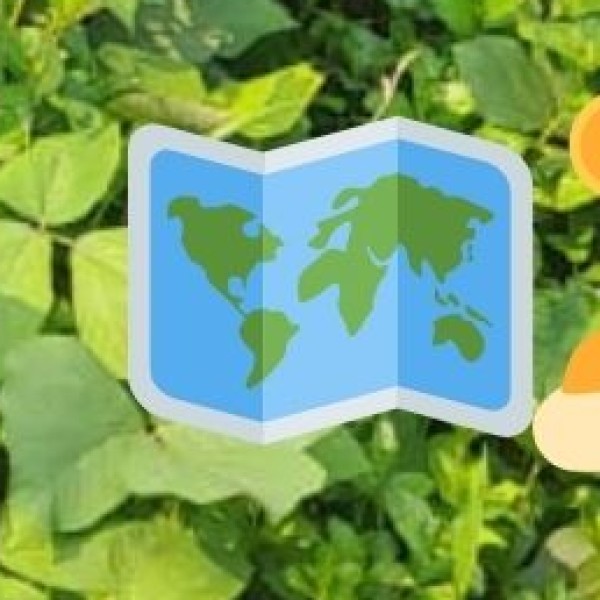 Imilchang Dare Falls – The Garo Hills’ Secret