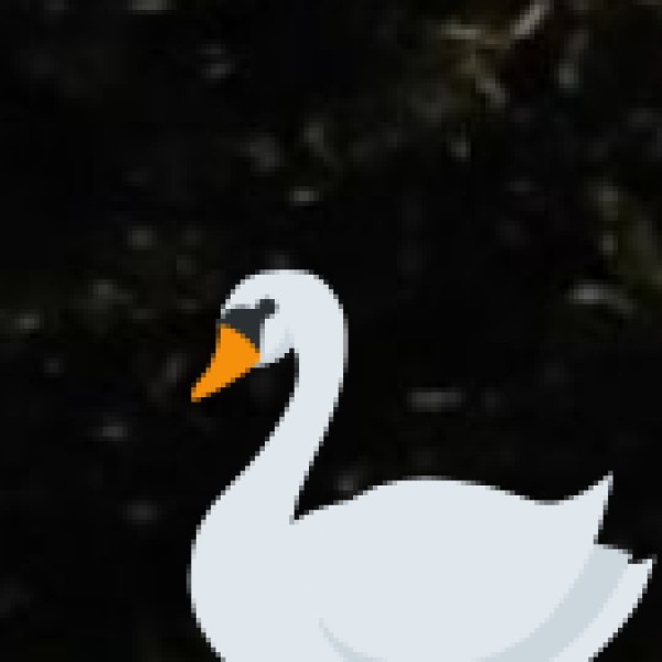 Bap Teng Kang Waterfall – Tawang