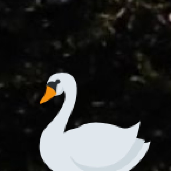 Kynrem Falls – Meghalaya’s Three-Tiered Beauty