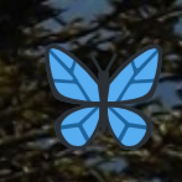 Why Meghalaya’s Waterfalls are a Must-See?