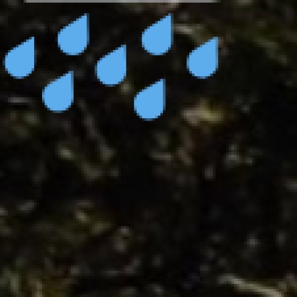 o Connection to Mainland: